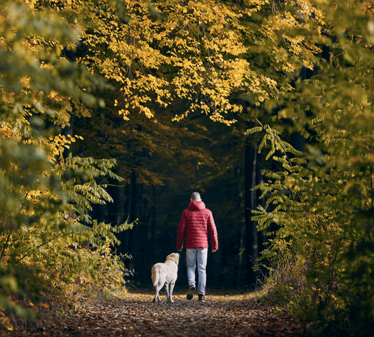 Just In! Hoodies, Sneakers and Backpacks that every Dog Mom and Dog Dad needs. - DoggyLoveandMore