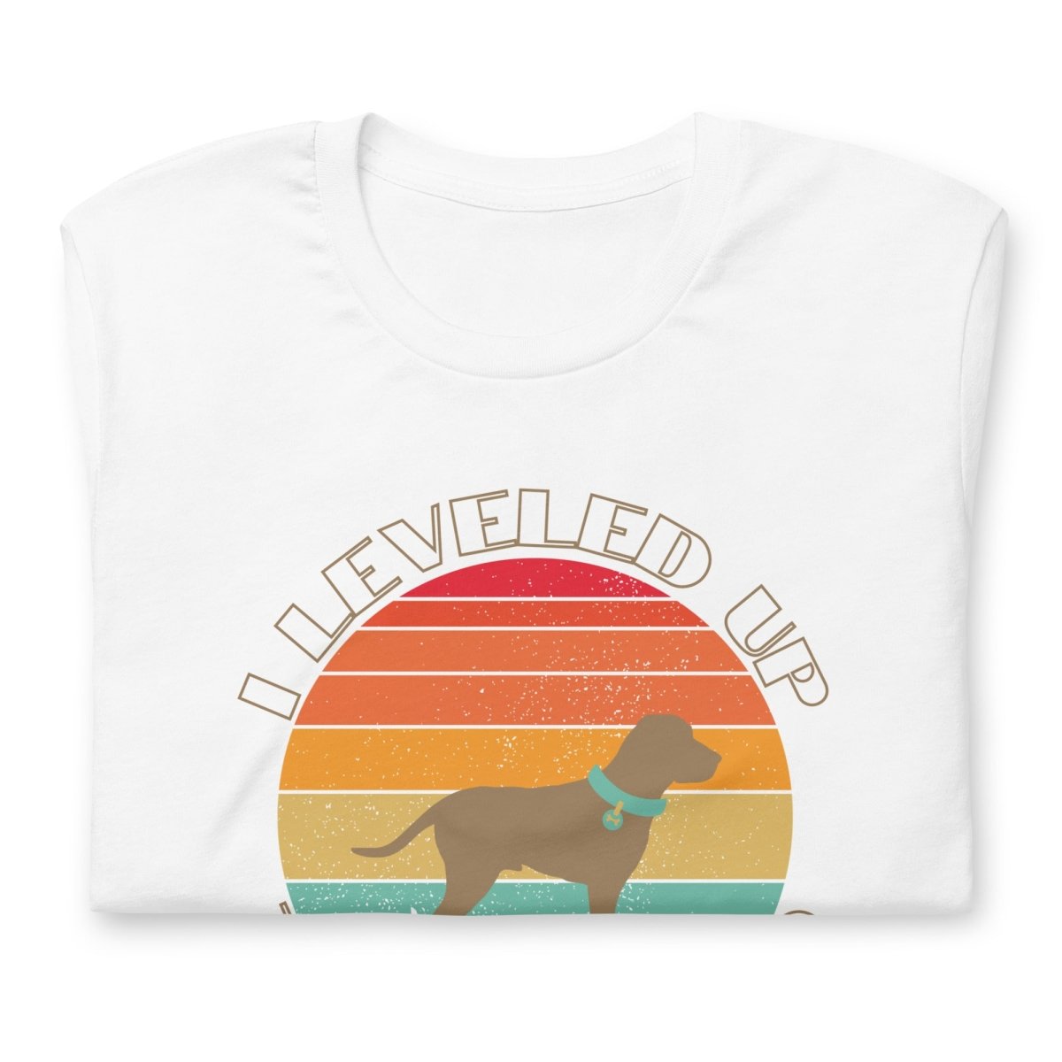 Leveled Up Dog Dad T-Shirt - DoggyLoveandMore