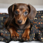 Dark Grey Dachshund Throw Blanket - DoggyLoveandMore