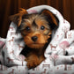 Dogs in the Park Throw Blanket - DoggyLoveandMore