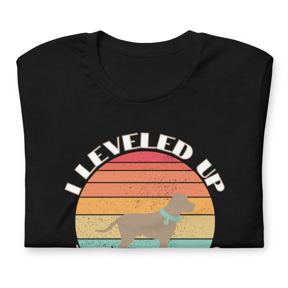 Leveled Up Dog Dad T-Shirt - DoggyLoveandMore